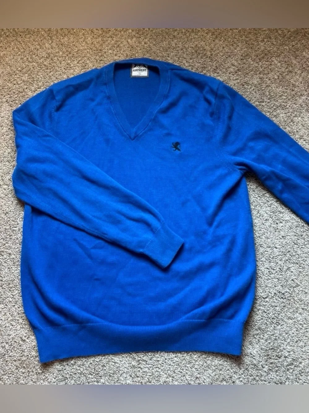 Express Men's V-Neck Sweater in Bright Blue